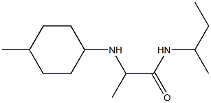 N-(butan-2-yl)-2-[(4-methylcyclohexyl)amino]propanamide Struktur