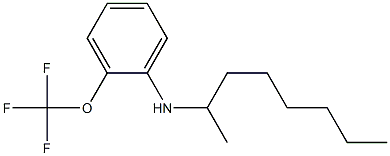 N-(octan-2-yl)-2-(trifluoromethoxy)aniline Struktur