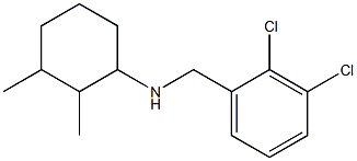 N-[(2,3-dichlorophenyl)methyl]-2,3-dimethylcyclohexan-1-amine Struktur