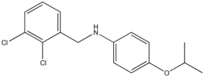 N-[(2,3-dichlorophenyl)methyl]-4-(propan-2-yloxy)aniline Struktur