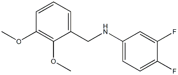 N-[(2,3-dimethoxyphenyl)methyl]-3,4-difluoroaniline Struktur