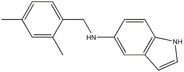 N-[(2,4-dimethylphenyl)methyl]-1H-indol-5-amine Struktur