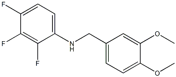 N-[(3,4-dimethoxyphenyl)methyl]-2,3,4-trifluoroaniline Struktur