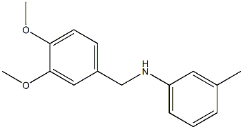 N-[(3,4-dimethoxyphenyl)methyl]-3-methylaniline Struktur