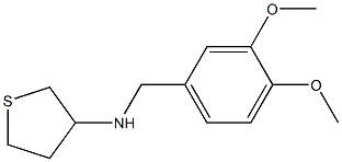 N-[(3,4-dimethoxyphenyl)methyl]thiolan-3-amine Struktur