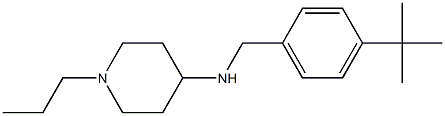 N-[(4-tert-butylphenyl)methyl]-1-propylpiperidin-4-amine Struktur