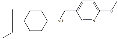 N-[(6-methoxypyridin-3-yl)methyl]-4-(2-methylbutan-2-yl)cyclohexan-1-amine Struktur