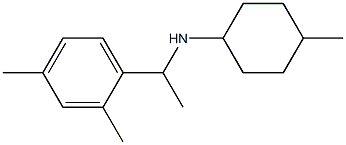 N-[1-(2,4-dimethylphenyl)ethyl]-4-methylcyclohexan-1-amine Struktur