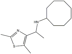 N-[1-(2,5-dimethyl-1,3-thiazol-4-yl)ethyl]cyclooctanamine Struktur