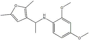 N-[1-(2,5-dimethylfuran-3-yl)ethyl]-2,4-dimethoxyaniline Struktur