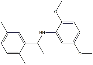 N-[1-(2,5-dimethylphenyl)ethyl]-2,5-dimethoxyaniline Struktur