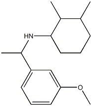 N-[1-(3-methoxyphenyl)ethyl]-2,3-dimethylcyclohexan-1-amine Struktur