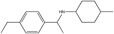 N-[1-(4-ethylphenyl)ethyl]-4-methylcyclohexan-1-amine Struktur