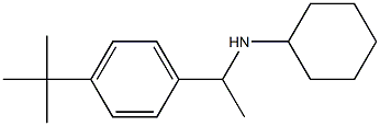 N-[1-(4-tert-butylphenyl)ethyl]cyclohexanamine Struktur