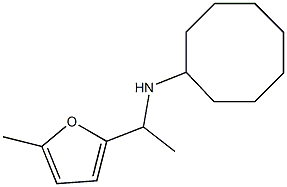 N-[1-(5-methylfuran-2-yl)ethyl]cyclooctanamine Struktur