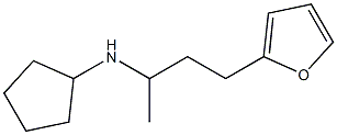 N-[4-(furan-2-yl)butan-2-yl]cyclopentanamine Struktur