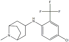 N-[4-chloro-2-(trifluoromethyl)phenyl]-8-methyl-8-azabicyclo[3.2.1]octan-3-amine Struktur