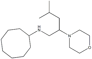 N-[4-methyl-2-(morpholin-4-yl)pentyl]cyclooctanamine Struktur