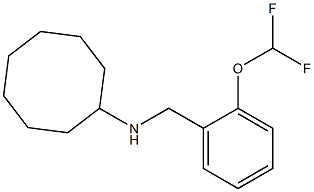 N-{[2-(difluoromethoxy)phenyl]methyl}cyclooctanamine Struktur