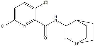 N-{1-azabicyclo[2.2.2]octan-3-yl}-3,6-dichloropyridine-2-carboxamide Struktur