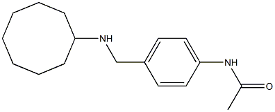 N-{4-[(cyclooctylamino)methyl]phenyl}acetamide Struktur