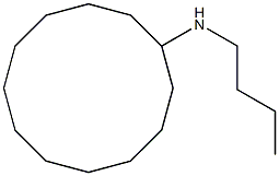 N-butylcyclododecanamine Struktur