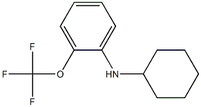 N-cyclohexyl-2-(trifluoromethoxy)aniline Struktur