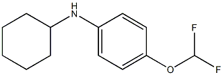 N-cyclohexyl-4-(difluoromethoxy)aniline Struktur