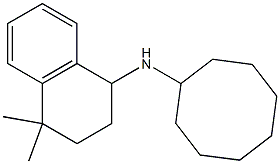 N-cyclooctyl-4,4-dimethyl-1,2,3,4-tetrahydronaphthalen-1-amine Struktur