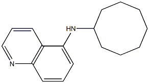 N-cyclooctylquinolin-5-amine Struktur