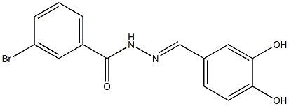 3-bromo-N'-[(E)-(3,4-dihydroxyphenyl)methylidene]benzohydrazide Struktur