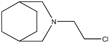 3-(2-Chloroethyl)-3-azabicyclo[3.2.2]nonane Struktur