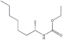 (+)-[(S)-1-Methylheptyl]carbamic acid ethyl ester Struktur