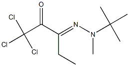 1,1,1-Trichloro-3-[2-methyl-2-(tert-butyl)hydrazono]-2-pentanone Struktur