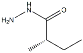 [S,(+)]-2-Methylbutyric acid hydrazide Struktur