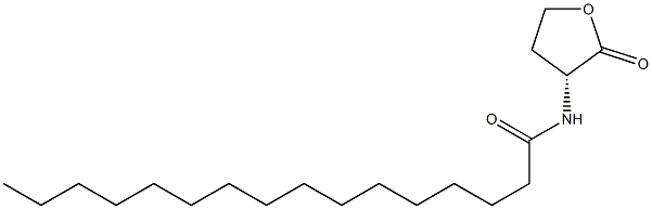 (R)-4-Hydroxy-2-(palmitoylamino)butyric acid lactone Struktur