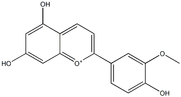 5,7-Dihydroxy-2-(3-methoxy-4-hydroxyphenyl)-1-benzopyrylium Struktur