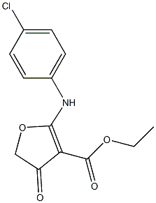 2-(4-Chloroanilino)-4-oxo-4,5-dihydro-3-furancarboxylic acid ethyl ester Struktur