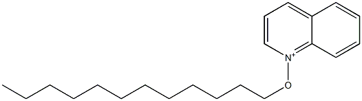 1-Dodecyloxyquinolinium Struktur