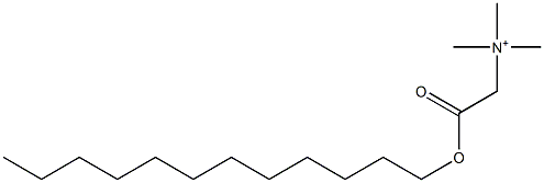 Trimethyl[2-(dodecyloxy)-2-oxoethyl]aminium Struktur