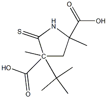 4-Methyl-5-thioxopyrrolidine-2,4-dicarboxylic acid 2-methyl 4-tert-butyl ester Struktur