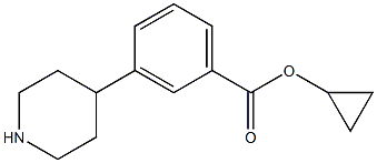 3-Piperidin-4-yl-benzoic acid cyclopropyl ester Struktur