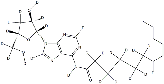 N6-Lauroyl Cordycepin-d23 Struktur