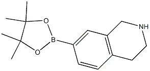 7-(4,4,5,5-tetraMethyl-1,3,2-dioxaborolan-2-yl)-1,2,3,4-tetrahydroisoquinoline Struktur