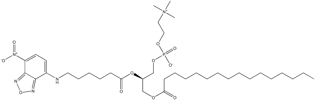 1-palmitoyl-2-(N-(7-nitrobenz-2-oxa-1,3-diazol-4-yl)aminohexanoyl)-sn-glycero-3-phosphocholine Struktur