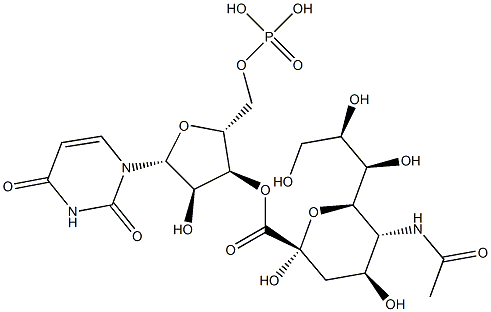 uridine monophosphate N-acetylneuraminic acid Struktur