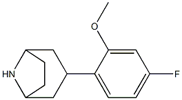 3-(4-fluoro-2-methoxyphenyl)-8-azabicyclo[3.2.1]octane Struktur