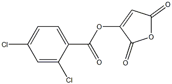 2,5-dioxo-2,5-dihydrofuran-3-yl 2,4-dichlorobenzoate Struktur