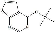 4-(tert-butoxy)thieno[2,3-d]pyrimidine Struktur