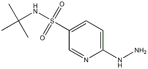 N-(tert-butyl)-6-hydrazinopyridine-3-sulfonamide Struktur